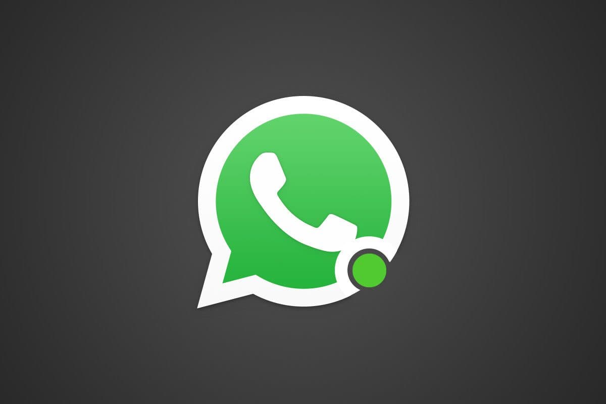 Por fin podrás ocultar el estado “En línea” de WhatsApp. Conoce está y otras actualizaciones que trae la app.