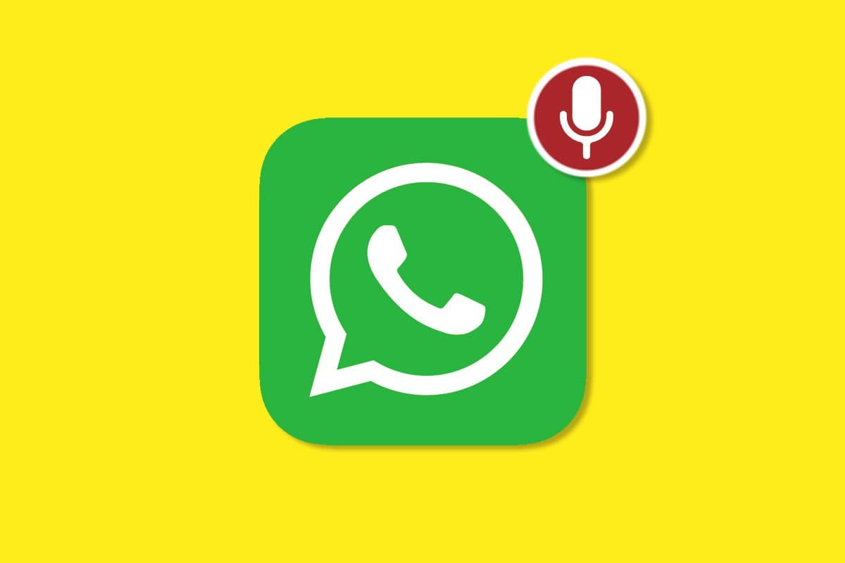Ahora podrás compartir audios en tus Estados de WhatsApp