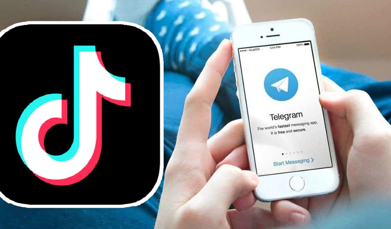 Descarga videos de TikTok sin marca de agua desde Telegram