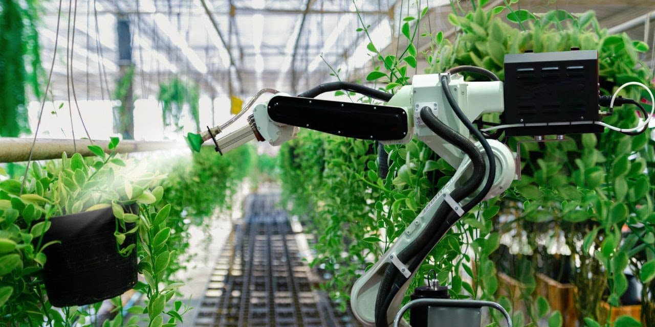 Lumen: ¿Qué necesitan las ciudades para ser inteligentes?