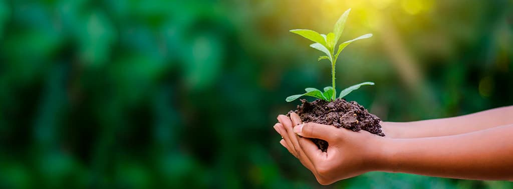 Crédito Sostenible BBVA Provincial, primer programa de financiamiento sostenible en Venezuela